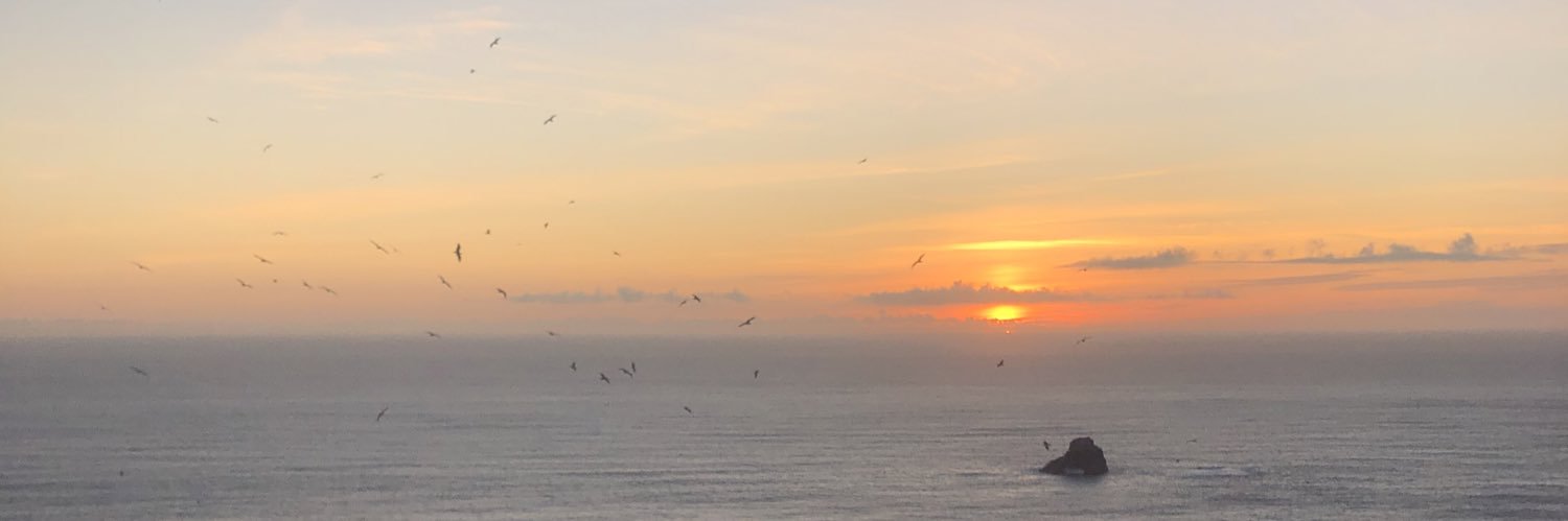 martadelase's profile banner image