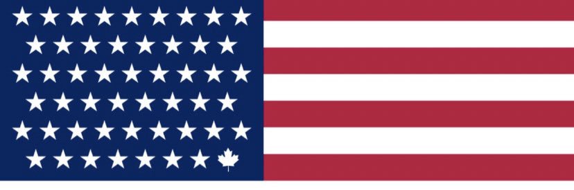 Canadian Gypsy Princess 🇨🇦🇬🇧🇨🇿 banner