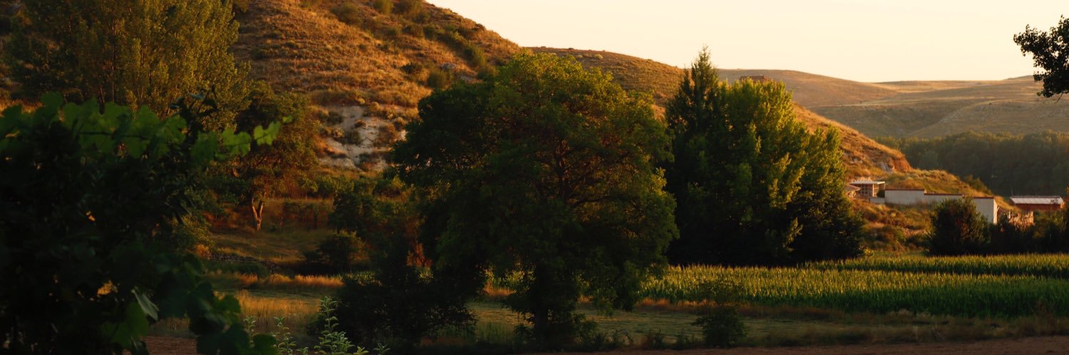 Bea Guillén Torres banner