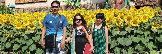 AdorabelPicts's profile banner image
