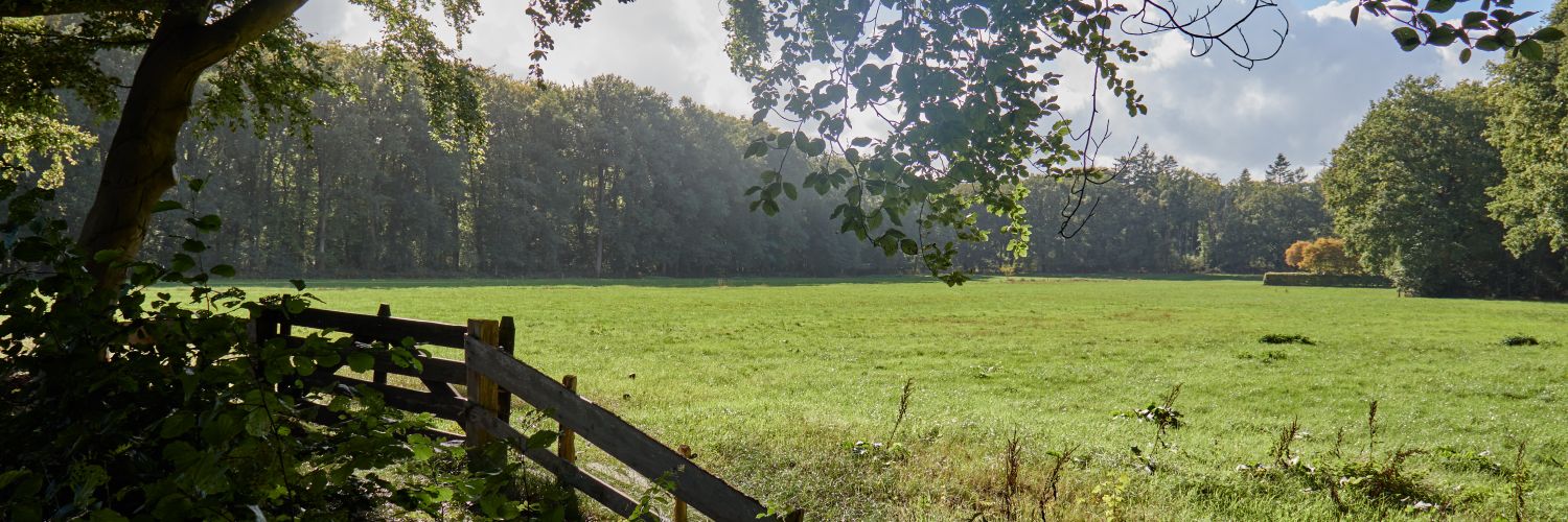 LMKlaassen's profile banner image