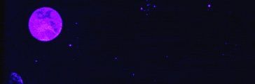 TJZombie_'s profile banner image