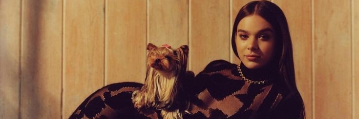 ilyshailee's profile banner image