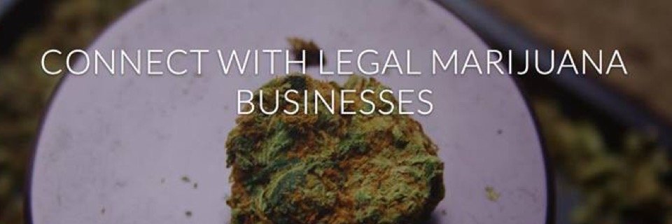 WeedWeb's profile banner image