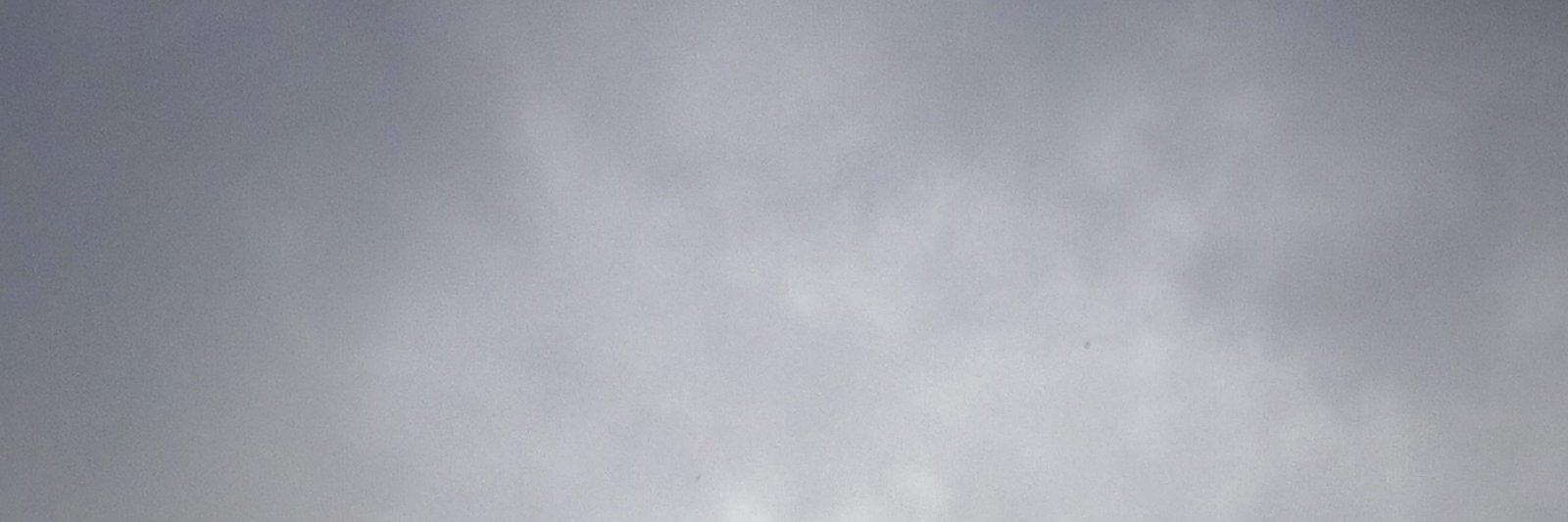 Hilliat Fields banner