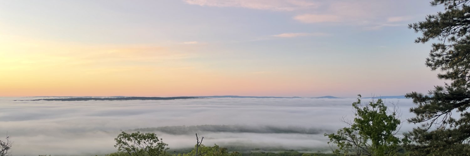 foxvernon's profile banner image
