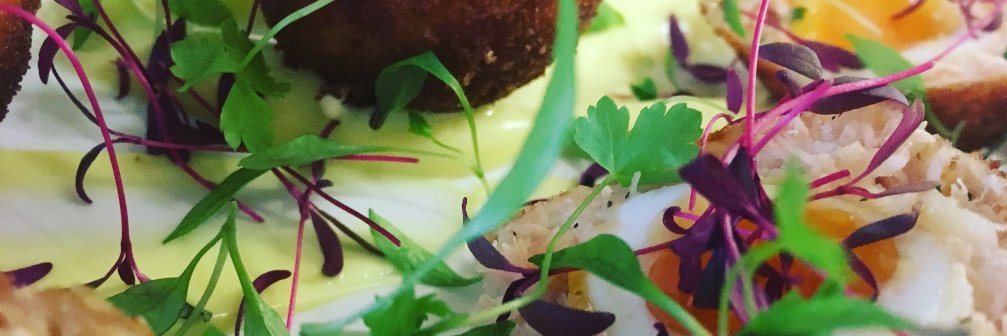 xcateringdevon's profile banner image