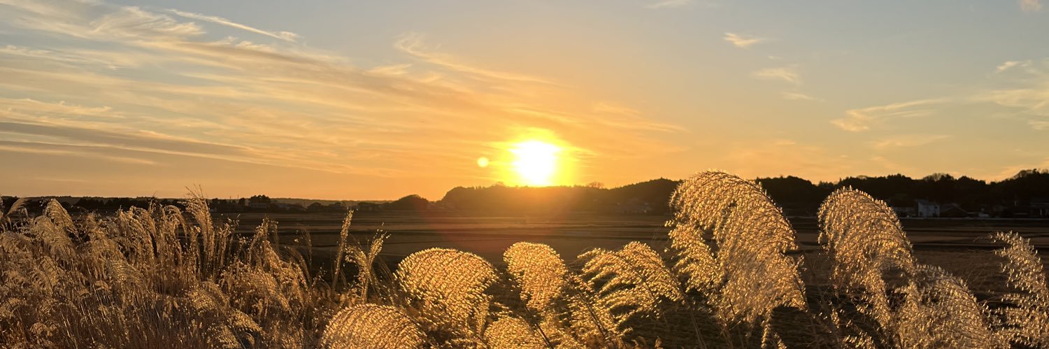 ebsw6's profile banner image