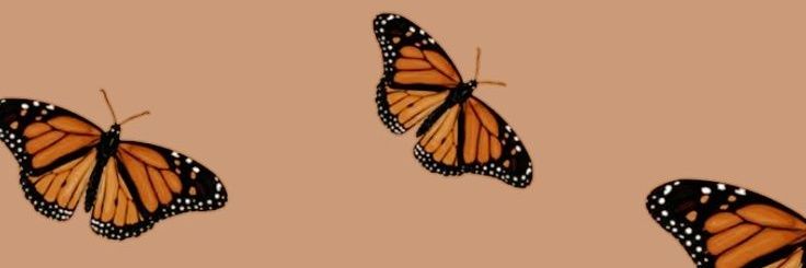 Mariajosegr__'s profile banner image