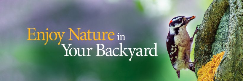 Wild Birds Unlimited, Inc. banner