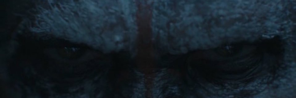 griffenc34's profile banner image