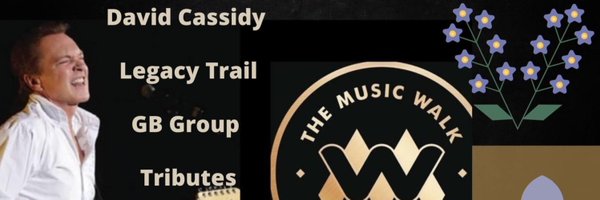 LiddleSharron Profile Banner