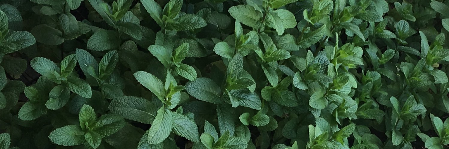 divypota's profile banner image