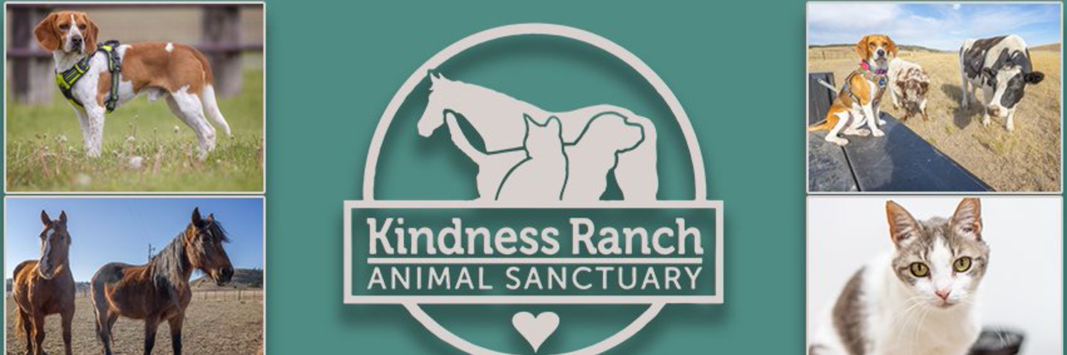 Kindness Ranch Profile Banner