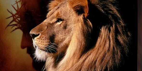 Edward1987G's profile banner image