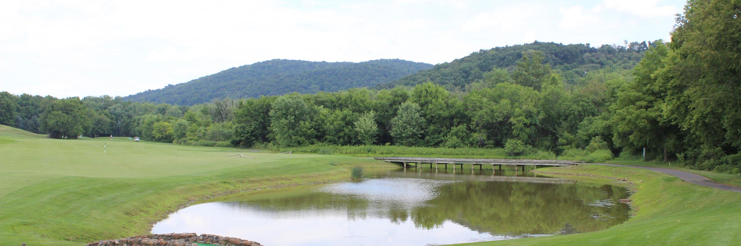 Rita Williams-Bogar banner