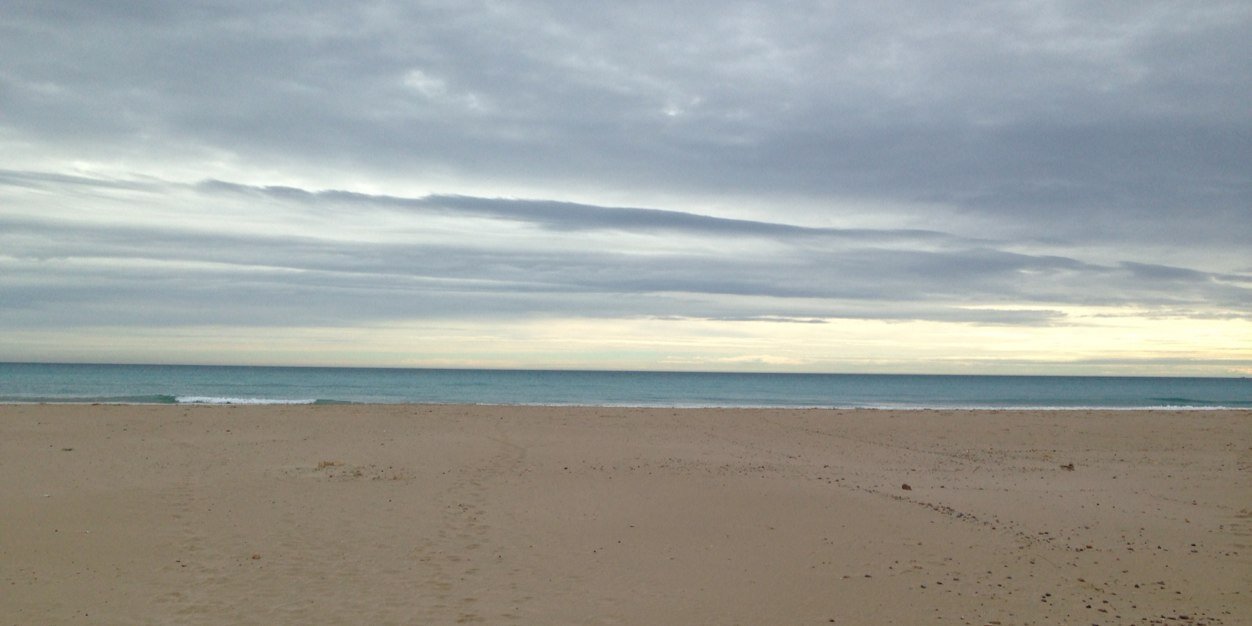 Amparo Barbeta banner