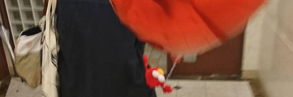 maro_elmo's profile banner image