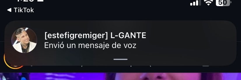 estefigre's profile banner image