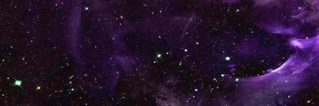 Perla G banner