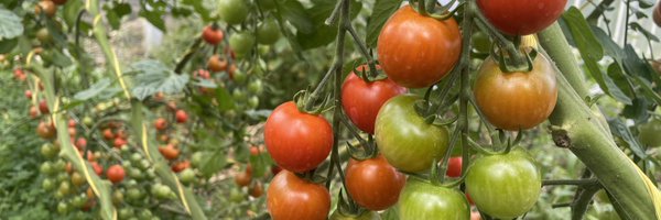 FarmShopOrganic Profile Banner