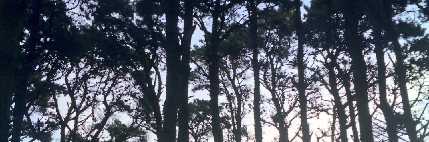 CandeeGiraffa's profile banner image