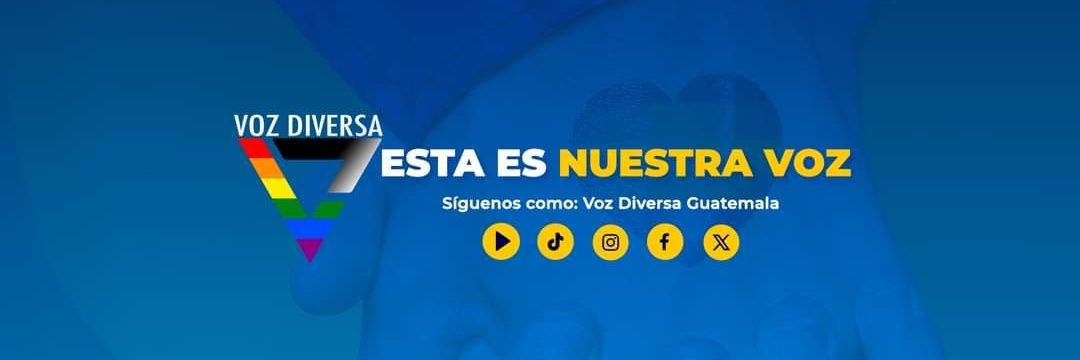 vozdiversa's profile banner image