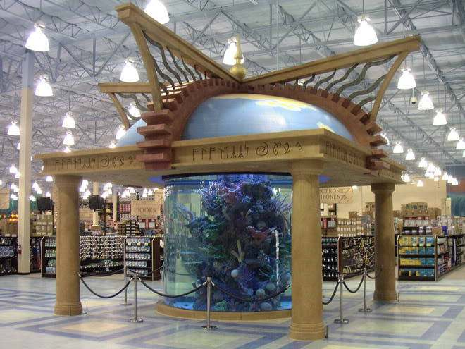 meredith (mas) banner