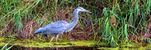 MarkFromWI Profile Banner