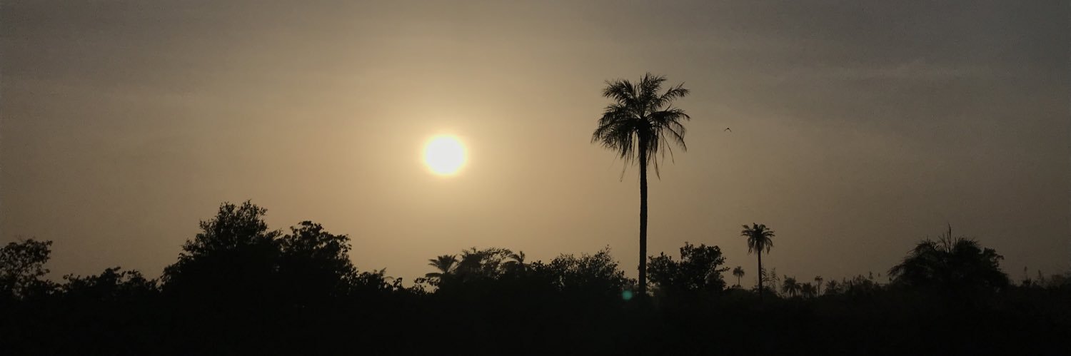 Will Hamilton banner