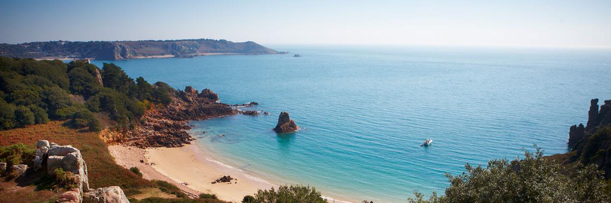 TransJersey's profile banner image