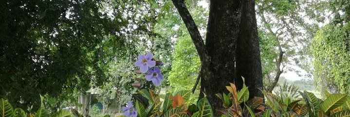 hanzelvelasquez's profile banner image
