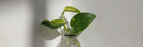 nengsunshine Profile Banner