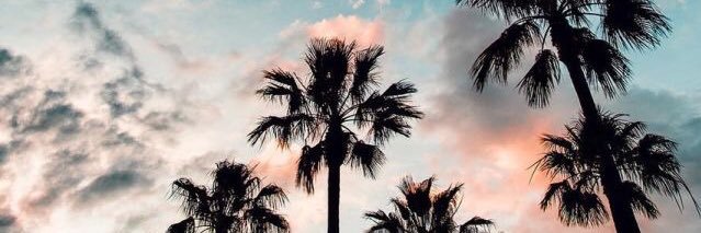 Daniela_RiveraG's profile banner image