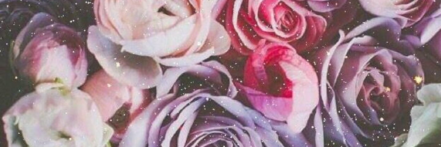 FarieRose's profile banner image