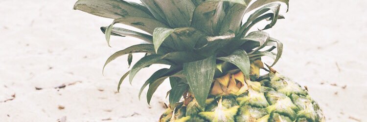 RenaeKorbyn's profile banner image
