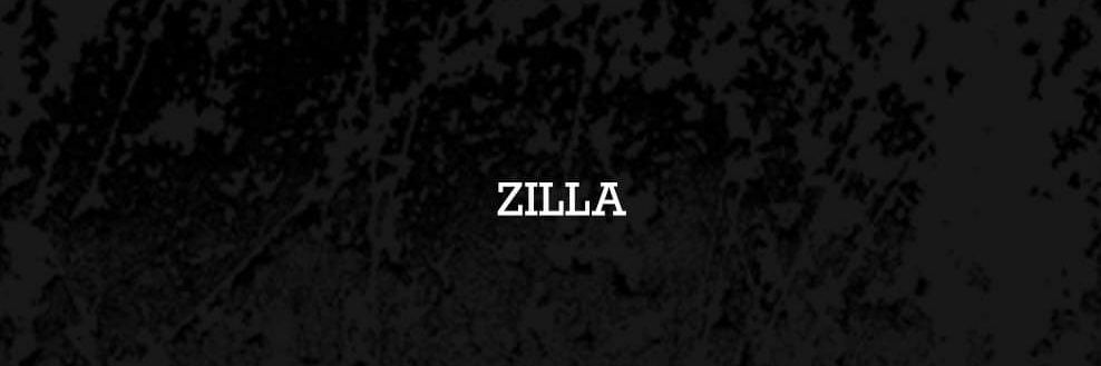 Zilla Wizard banner