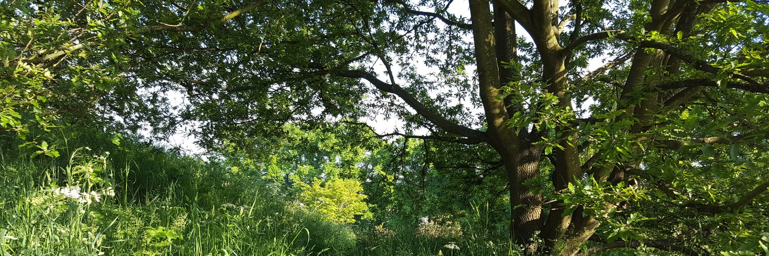 BrisNatureNet's profile banner image