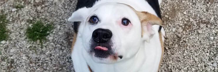 caminau_'s profile banner image