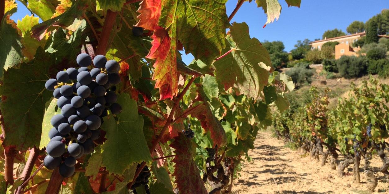 chateaucanadel's profile banner image