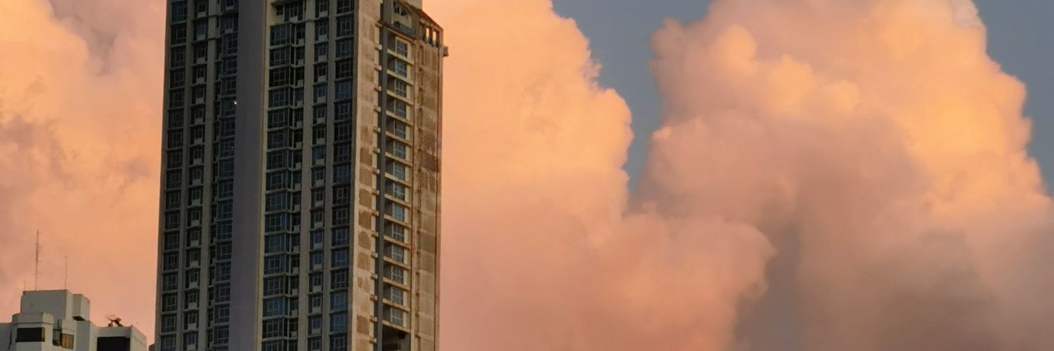 RosaLuzM's profile banner image