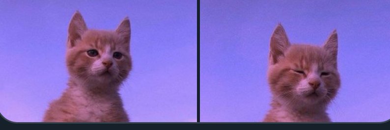 yasmintorres147's profile banner image