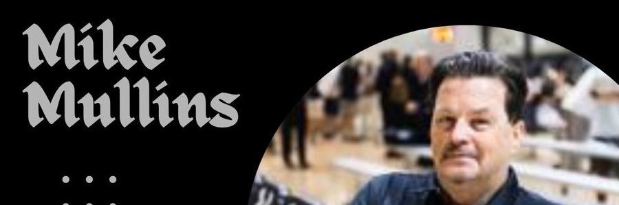 Illinois Wolves's banner