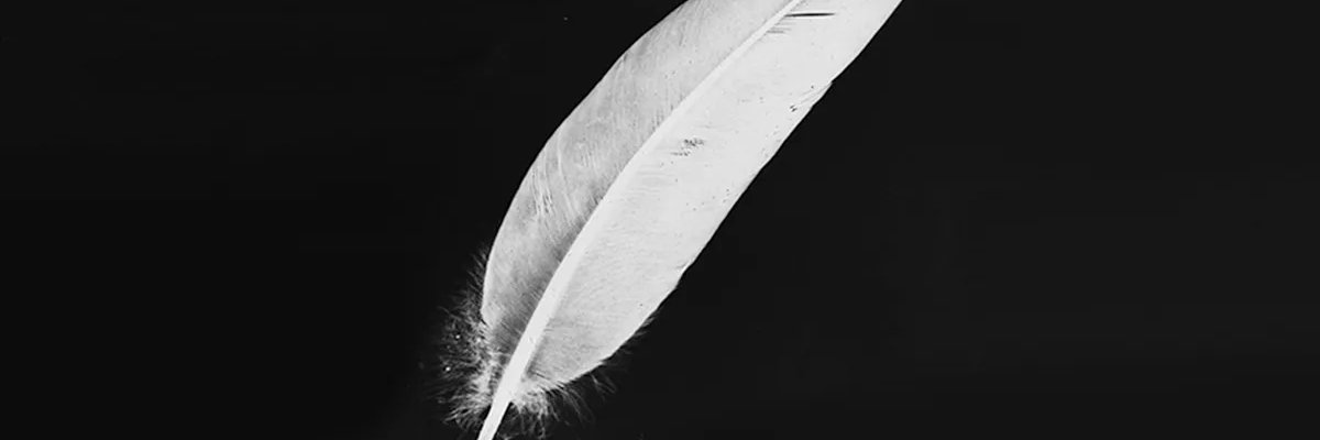 vsirtrt's profile banner image