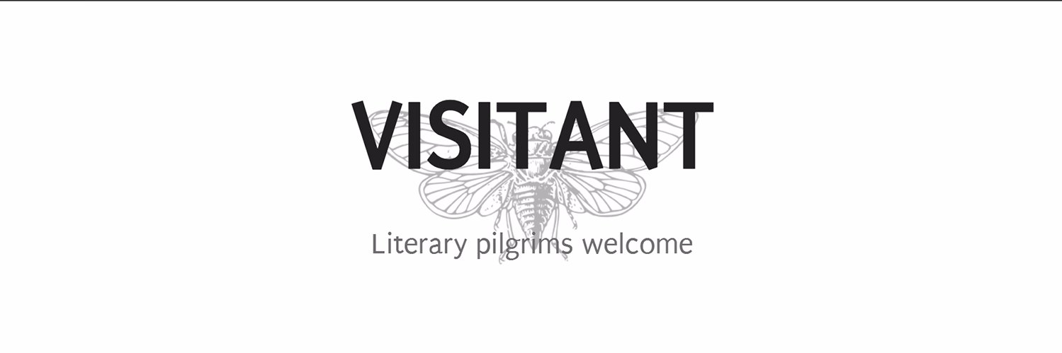 VisitantLit's profile banner image