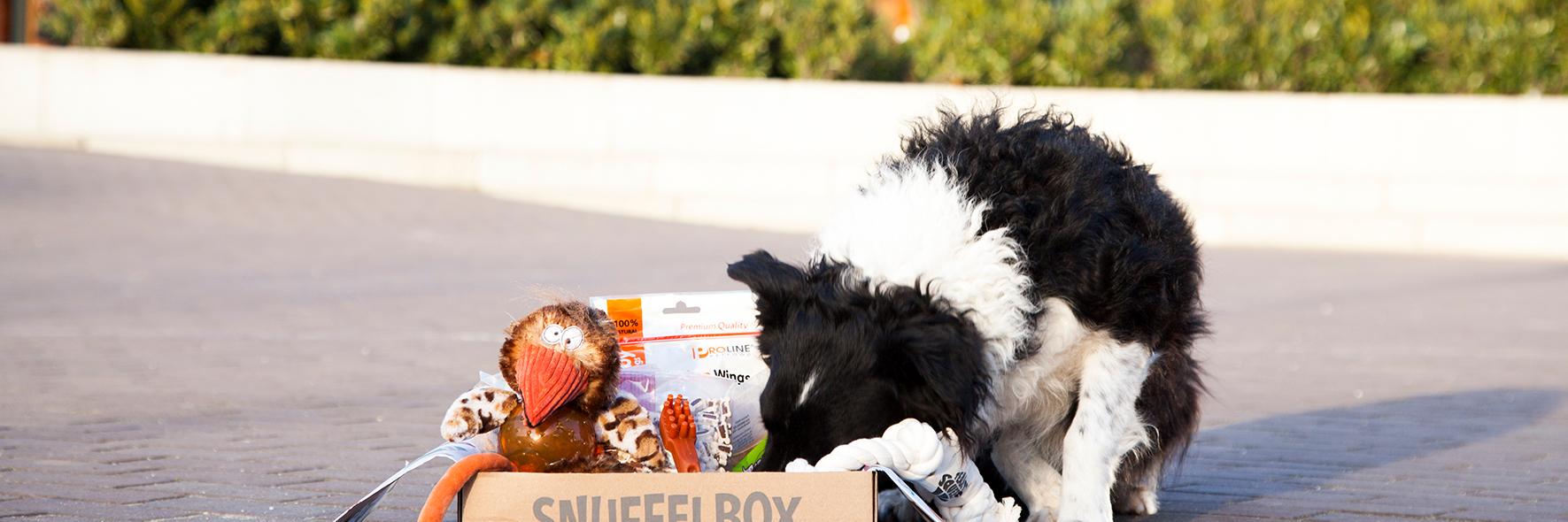 SnuffelboxNL's profile banner image
