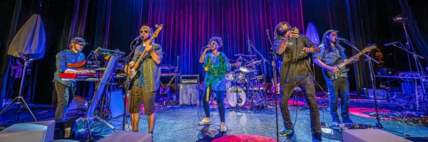 HarshArmadillo Profile Banner