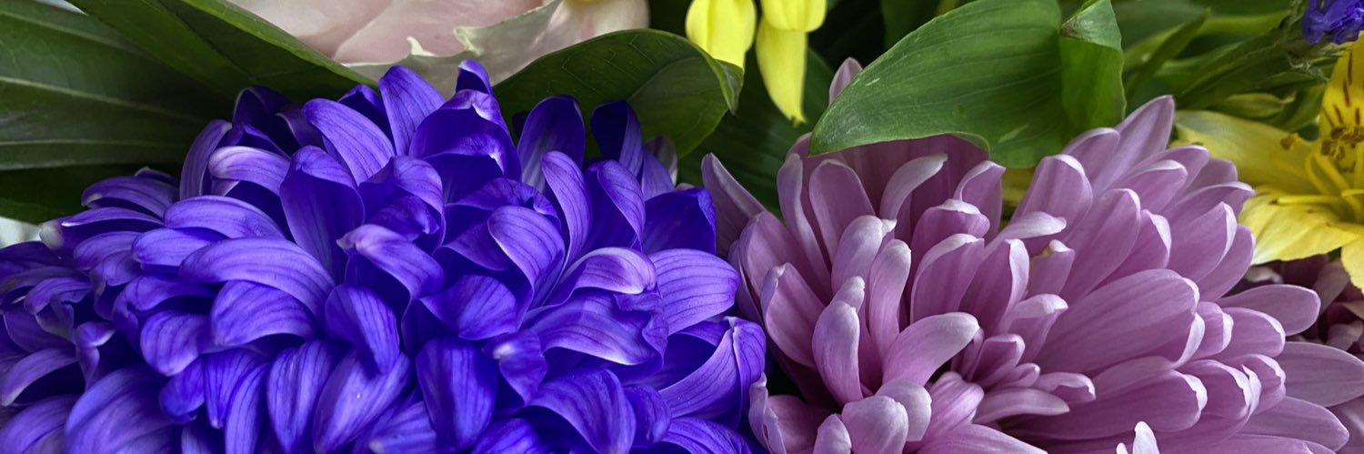 Laura_Comiskey's profile banner image