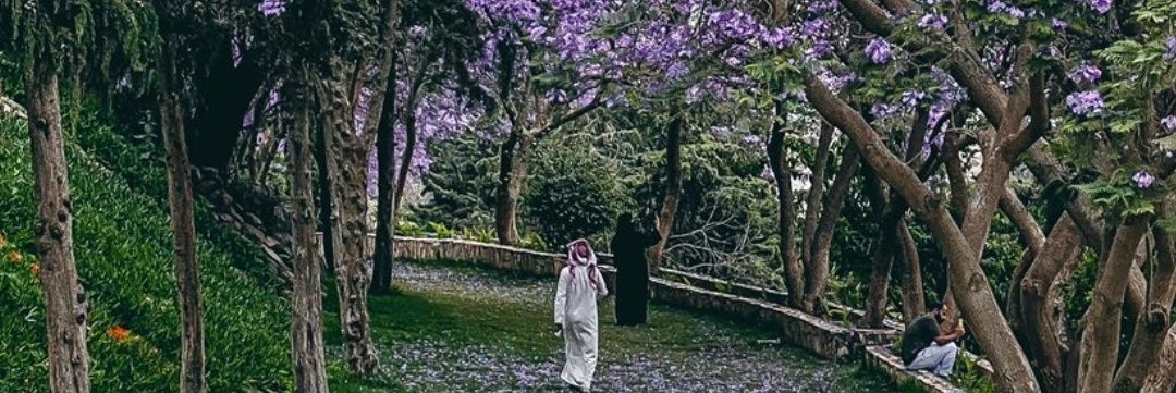 saudi31's profile banner image