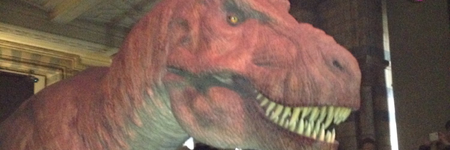 iamnwax's profile banner image